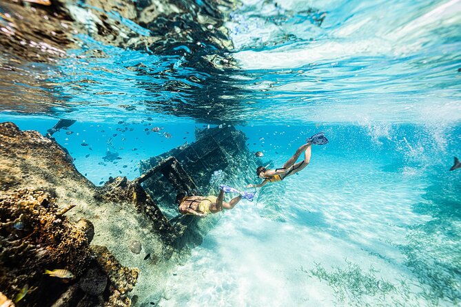 With Turtles, Shipwreck, Cenote, and Reef and Transport Included - Currents, sea conditions, and how to snorkel smart