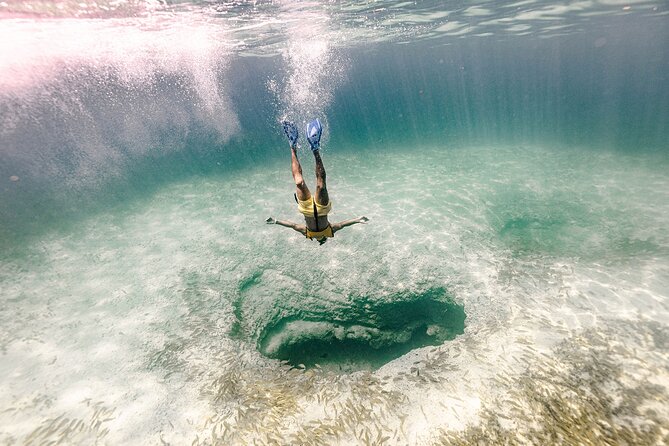 With Turtles, Shipwreck, Cenote, and Reef and Transport Included - Photos, locker deposits, and the real cost of the day