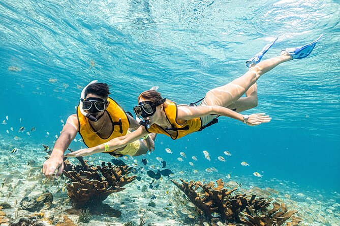 With Turtles, Shipwreck, Cenote, and Reef and Transport Included - Who this tour suits best