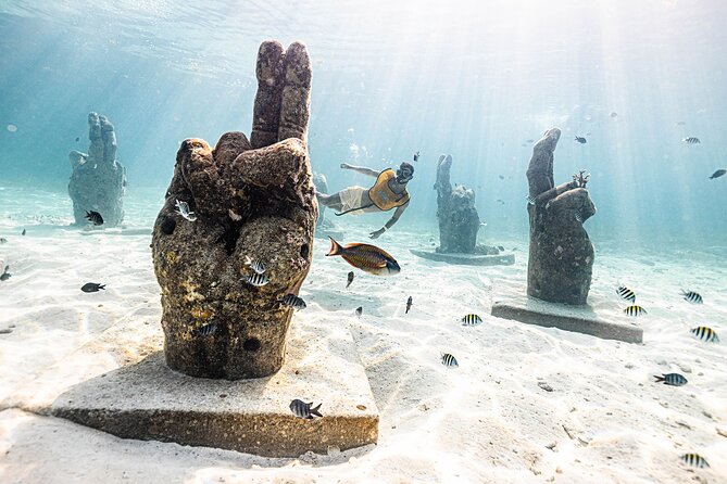 With Turtles, Shipwreck, Cenote, and Reef and Transport Included - Should you book Total Snorkel Cancun?