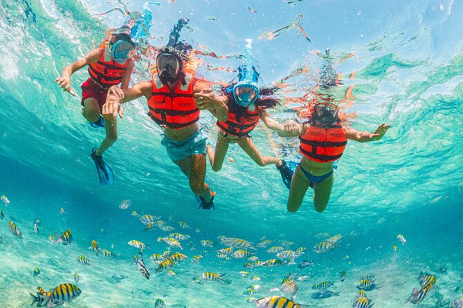 Xcaret Park Day Trip, transportation and Cultural Night Show - A practical day plan: order your paths and save your energy