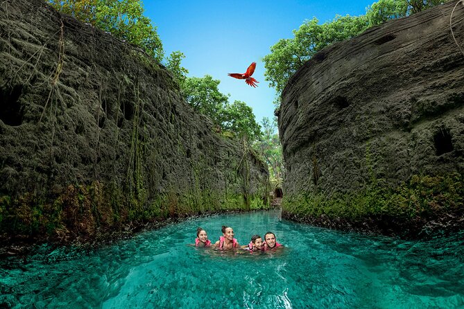 Xcaret Park Day Trip, transportation and Cultural Night Show - Wildlife, orchids, and the aquarium: nature lovers get the spotlight