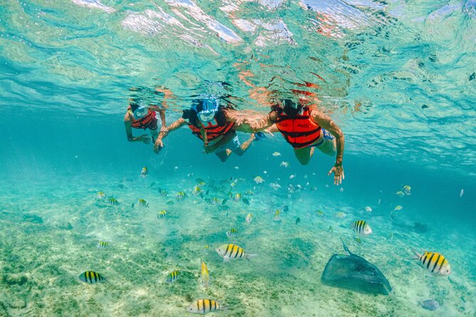 Xcaret Park Entry Tickets with Cultural Night Show Included - Jungle Trail, beaches, bays, and natural pools