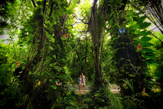 Xcaret Park Entry Tickets with Cultural Night Show Included - Standard vs Xcaret Plus vs Night Ticket, what changes and why it matters