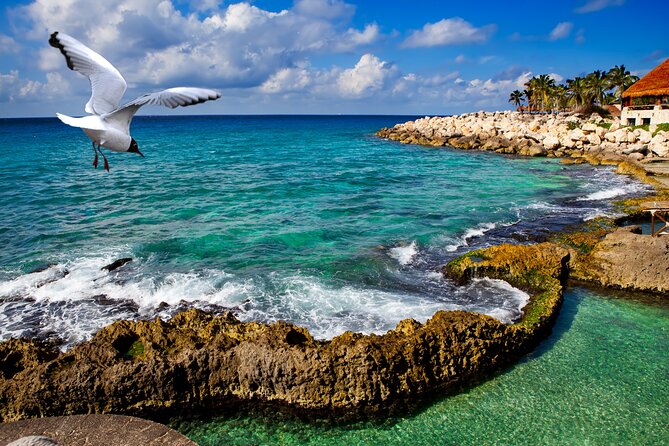 Xcaret Park Plus Tour! Nature, Culture and Nightshow from Cancun - Value check: is $265 per person a smart spend?