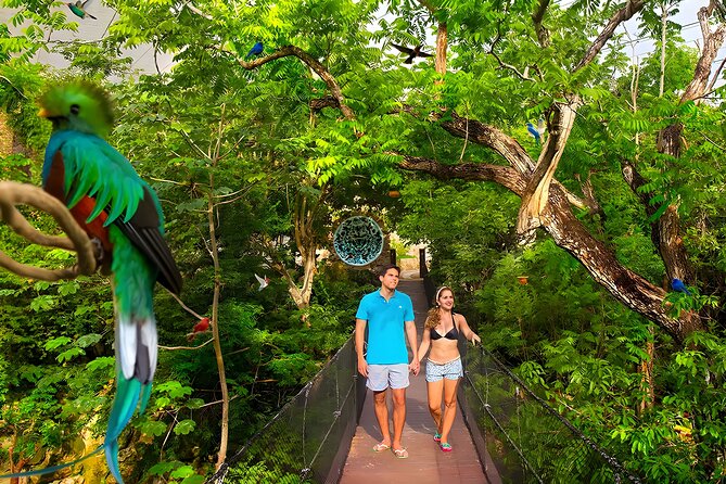 Xcaret Park Plus Tour! Nature, Culture and Nightshow from Cancun - Getting there: early start, shared bus, and the best way to handle it