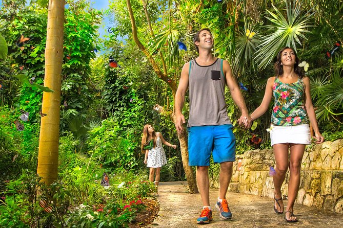 Xcaret Park Plus With Round Transportation From Cancun & Riviera Maya - Lunch Included: How the Buffet Fits Into a Long Water Day