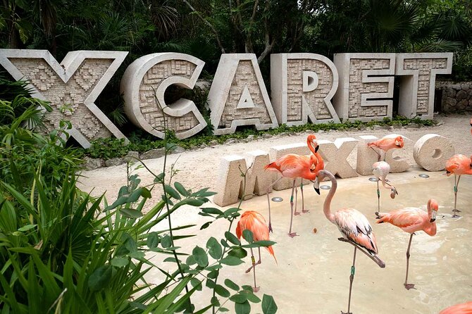 Xcaret Plus Full Day Tour - Underground Rivers, Natural Pools, and the Cove Swim Stop