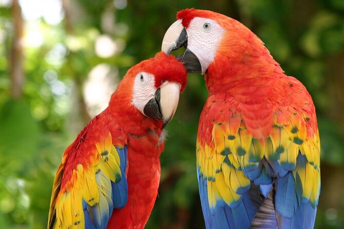 Xcaret Plus Full-Day Tour from Cancun with Transport - Key things I’d plan around before you go