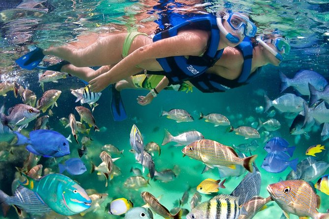 Xel ha All Inclusive - Key highlights before you go