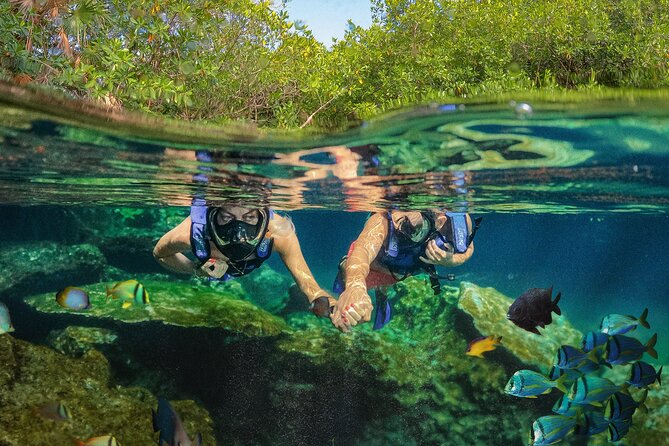 Xel-Ha Park Admission Tickets - Xel-Há at a glance: natural aquarium, cenotes, and a real full-day plan
