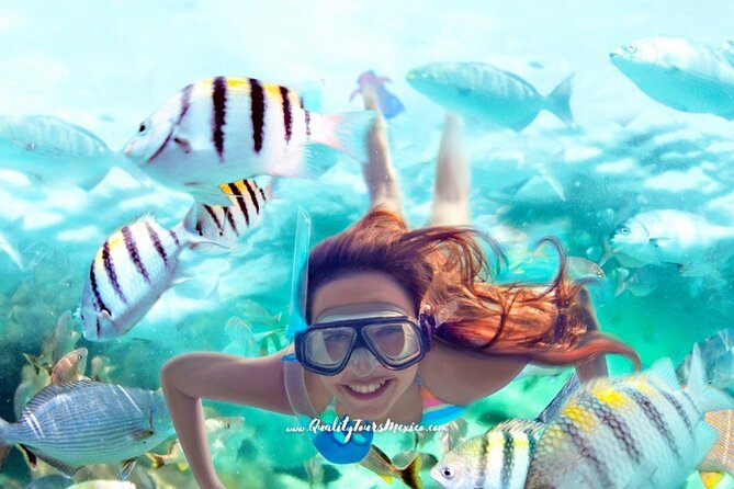 Xelha water park with transportation - Zip lines and other big activities: what’s included and what isn’t