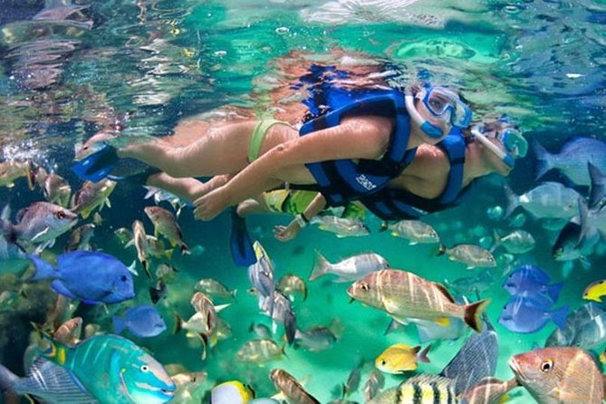 Xikbal Eco Park All Inclusive - Xikbal Eco Park All Inclusive: the deal behind the scenes