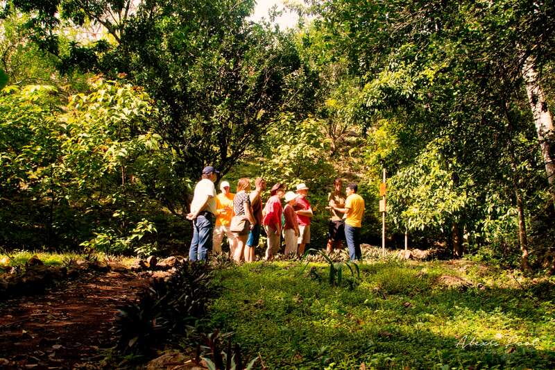 Xkopek, Mayan Bees Tour and Honey Tasting in Valladolid - Stepping into a dry cenote to spot stingless bees
