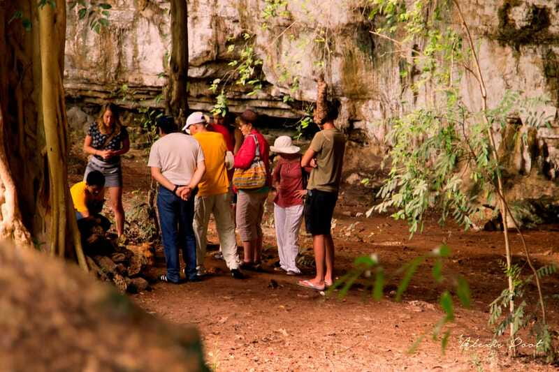Xkopek, Mayan Bees Tour and Honey Tasting in Valladolid - Timing, walking shoes, and a small group vibe