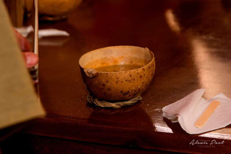 Xkopek, Mayan Bees Tour and Honey Tasting in Valladolid - Is it worth $18 for 90 minutes of bees, cenotes, and tastings?