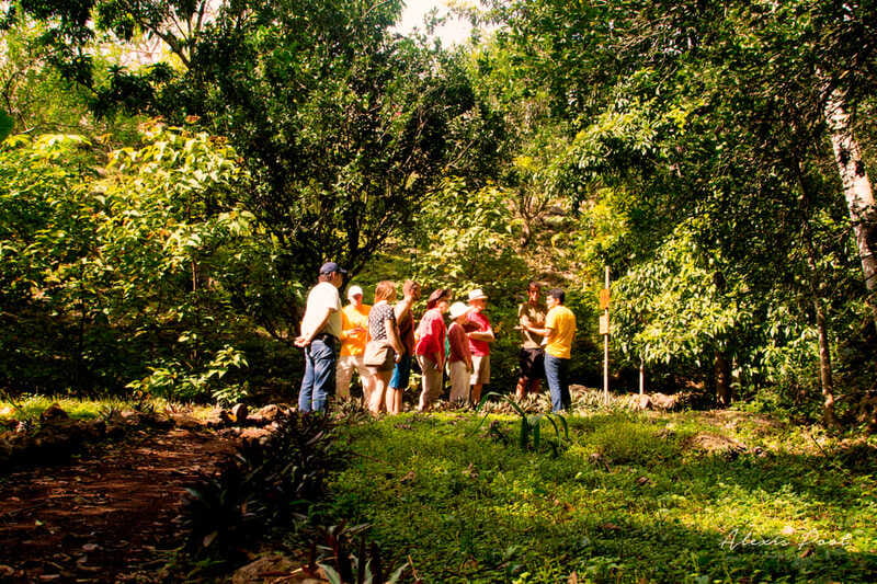 Xkopek, Mayan Bees Tour and Honey Tasting in Valladolid - Should you book Xkopek’s Mayan Bees tour?