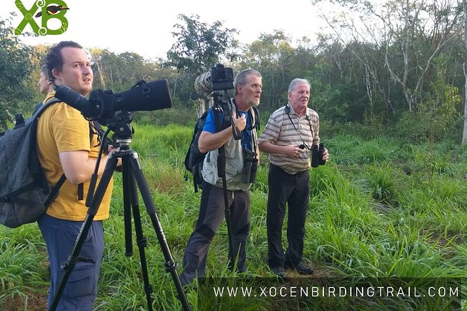 Xocen Birding - Key highlights you should know
