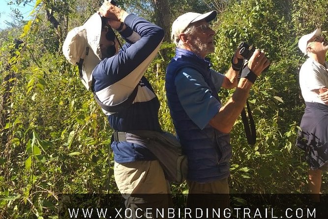 Xocen Birding - How the Xocén to Kanxoc trail walk works