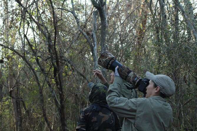 Xocen Birding - What you might spot: Yucatán birds and color hits