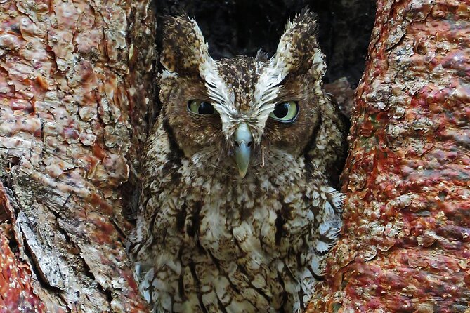 Xocen Birding - Habitats you pass through on the same walk