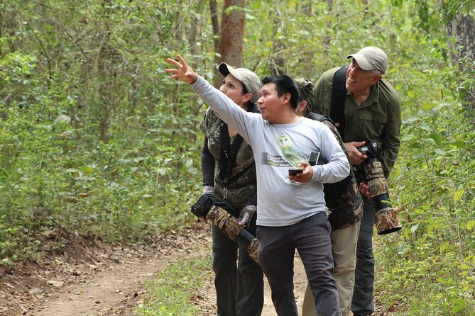 Xocen Birding - Timing, ticket, and the private-group advantage
